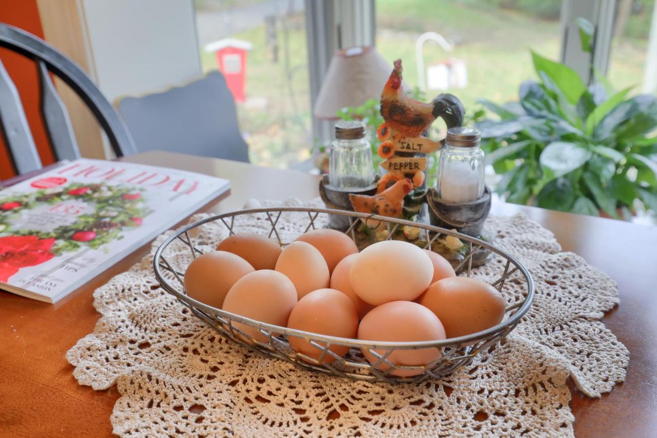 Hammer Creek Hideaway B&B Lititz Kültér fotó